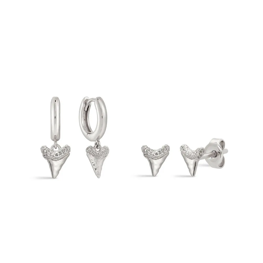 Baby Shark Tooth Stud Earrings