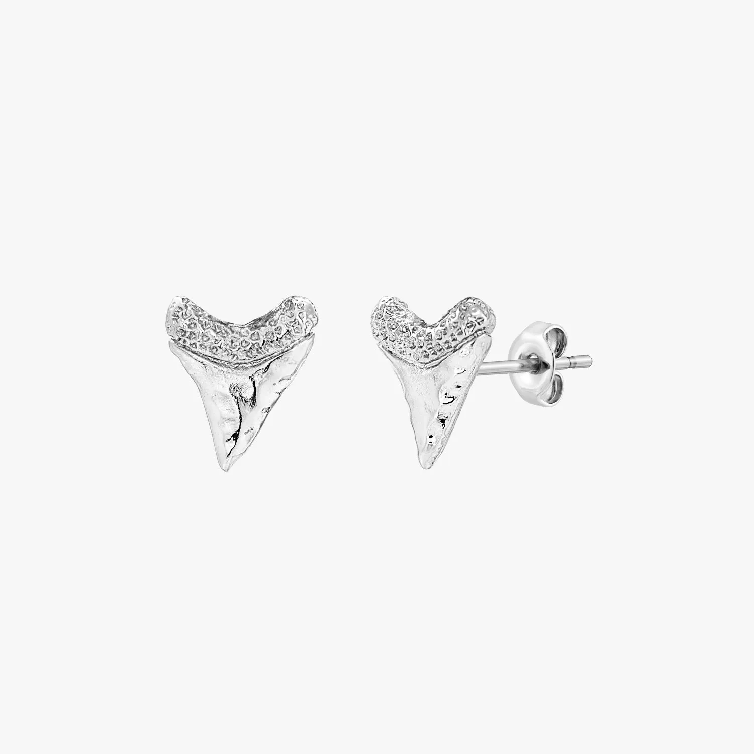 Baby Shark Tooth Stud Earrings