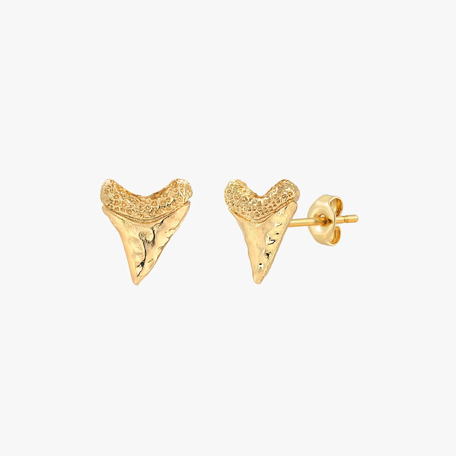 Baby Shark Tooth Stud Earrings