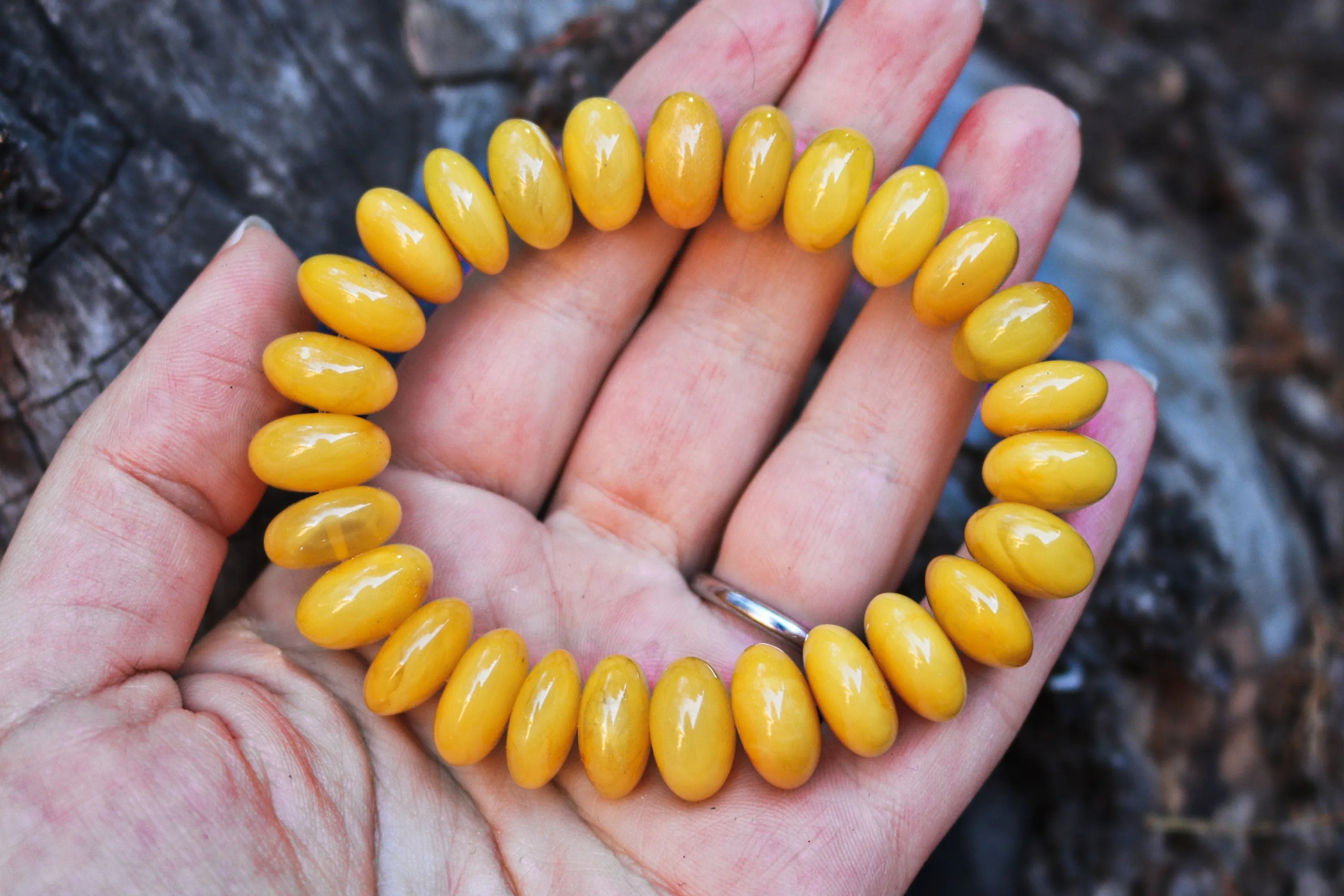 Baltic Amber Bracelet Antique Butterscotch Rondelle Beads Yolk Unisex Jewelry 22.8 gram 7.5"