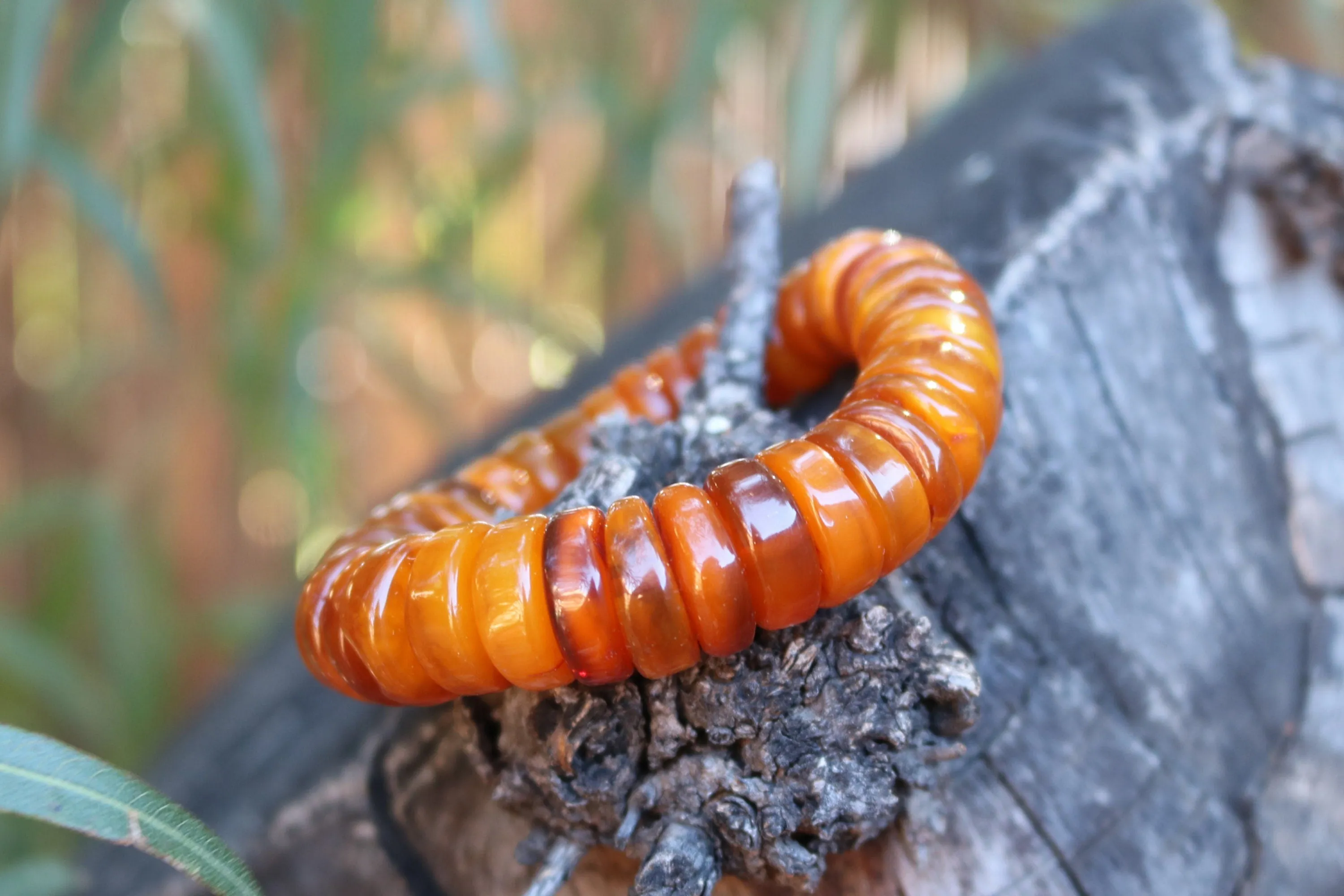 Baltic Amber Bracelet Antique Disc Beads Caramel Natural Unisex Jewelry 34.3 gram