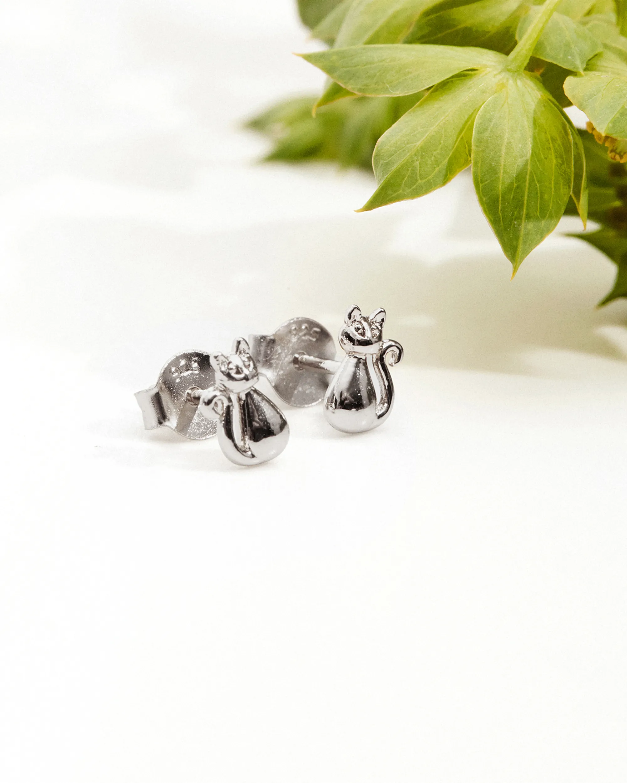 Cat Studs