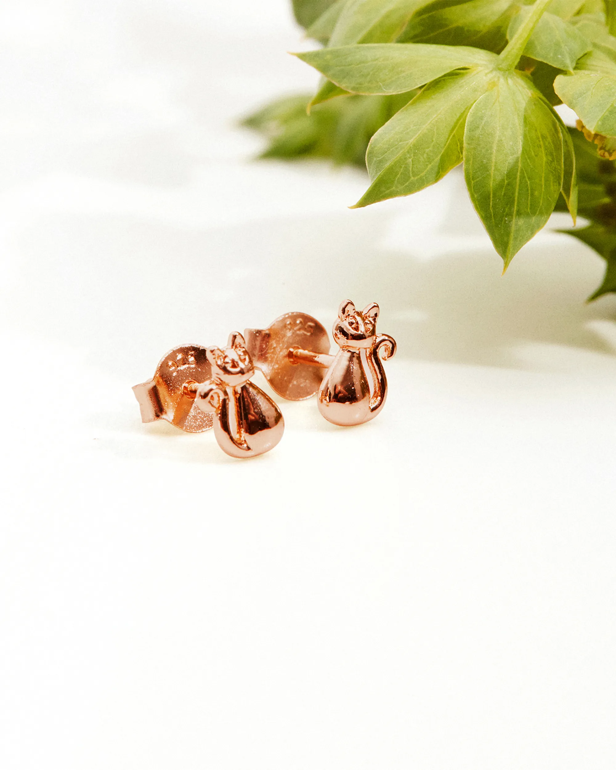 Cat Studs