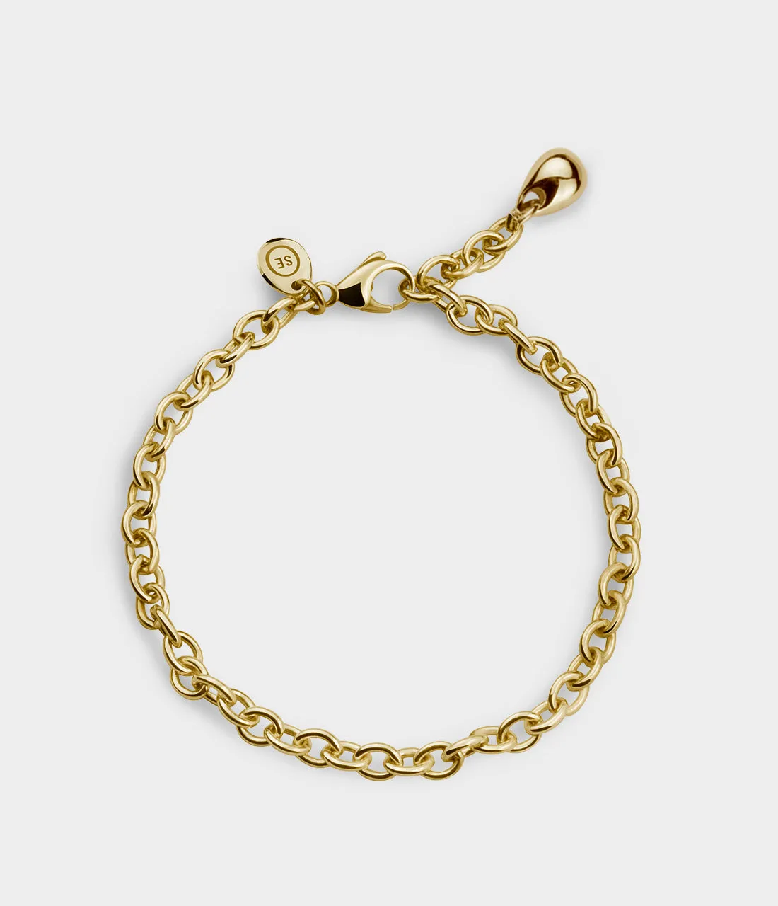 Charm Bracelet in 9ct Yellow Gold