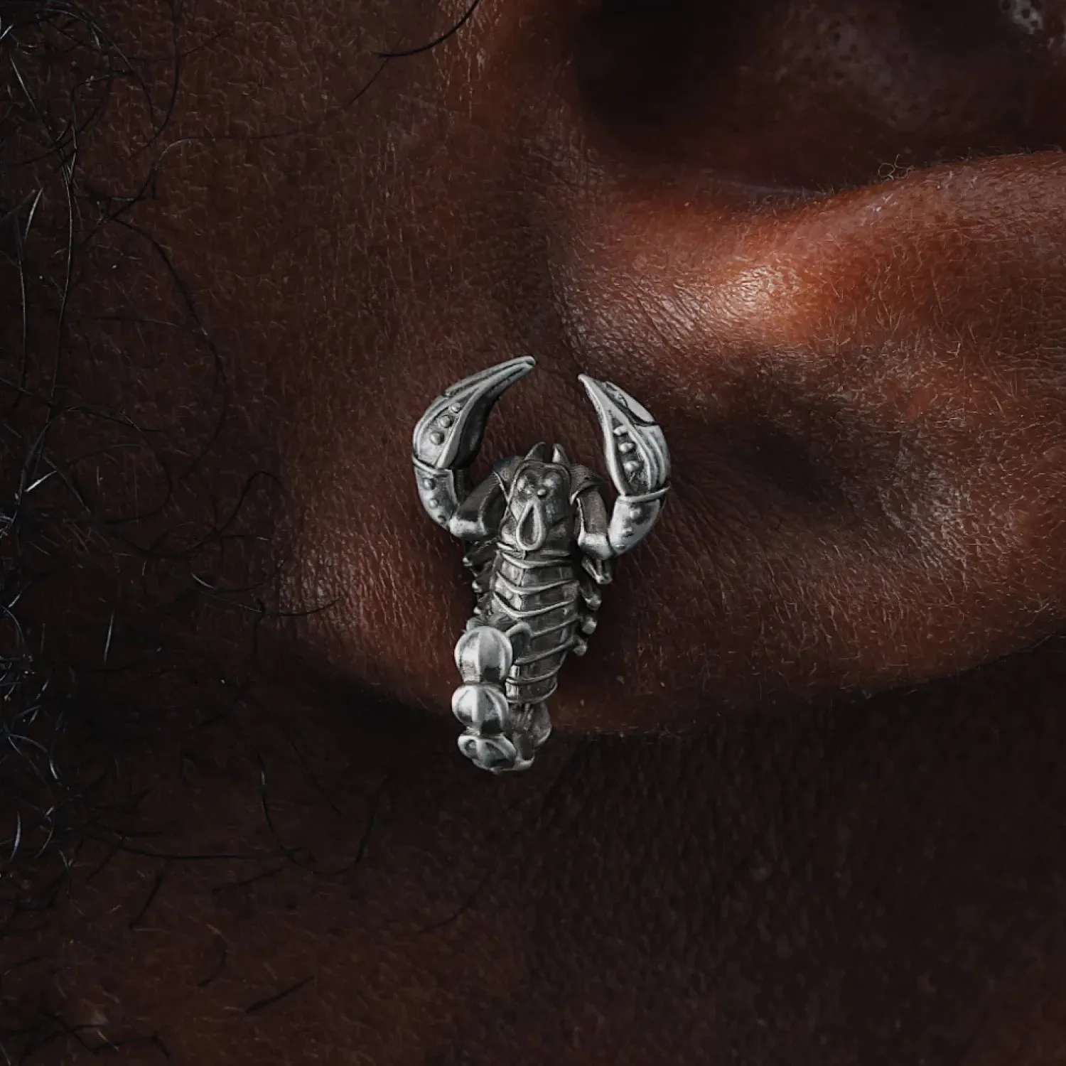 Scorpion Earrings