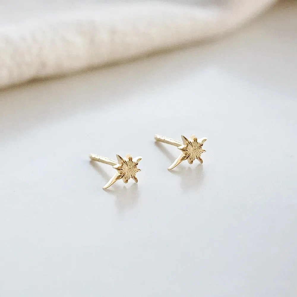 Super Star Stud Earrings 18ct Gold Plate