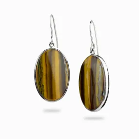 Tiger Iron Drop Earrings